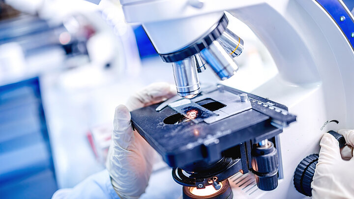 mikroskop 